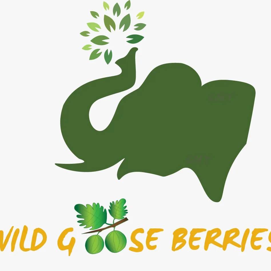 Wild Gooseberries Logo