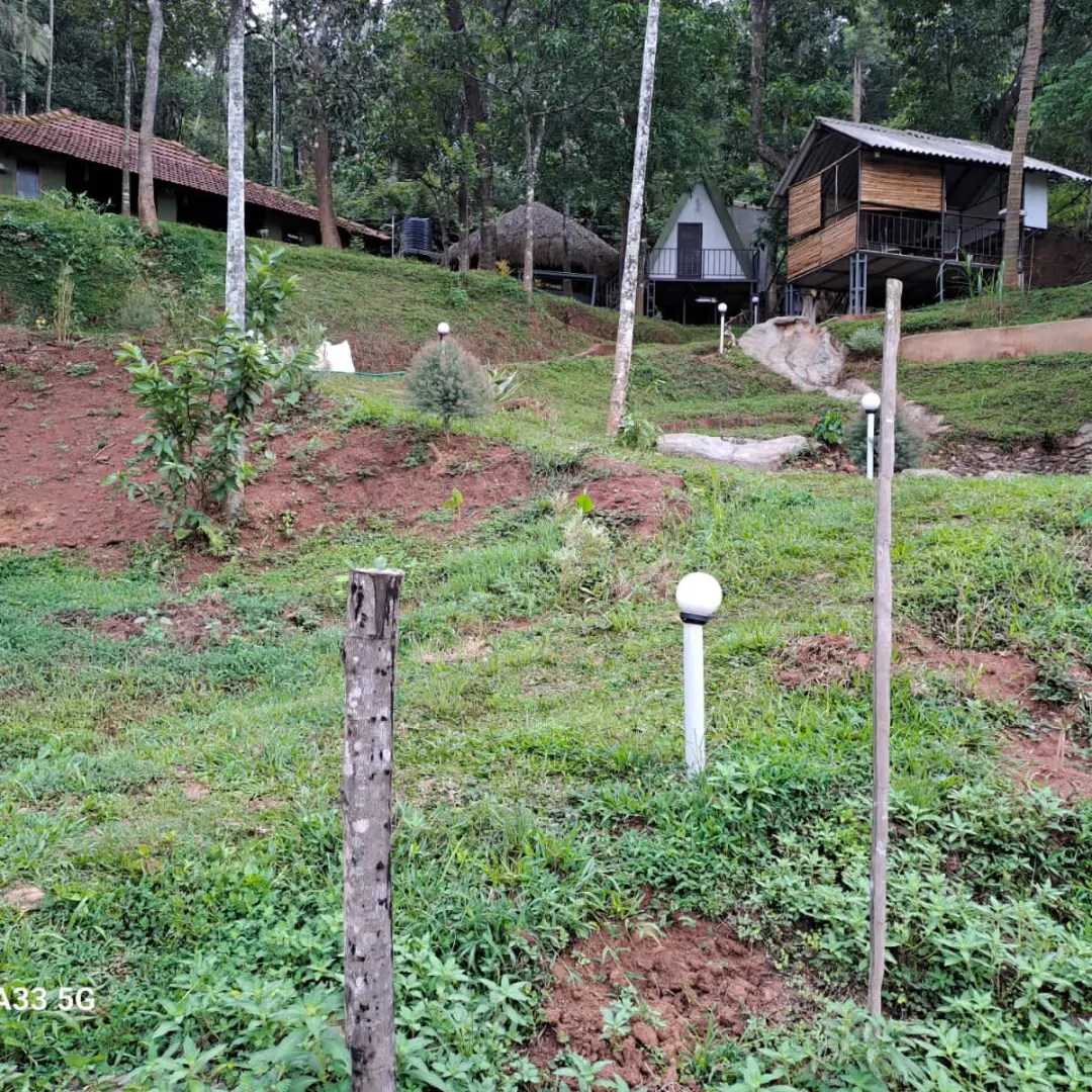 Resort Overview with Cabins