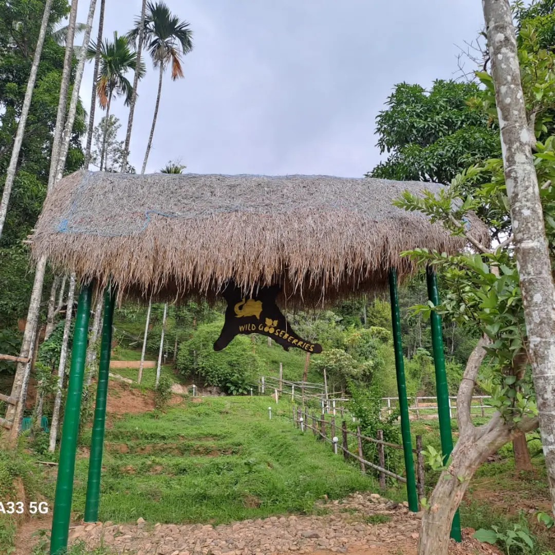 Wild Gooseberries Entrance Gate