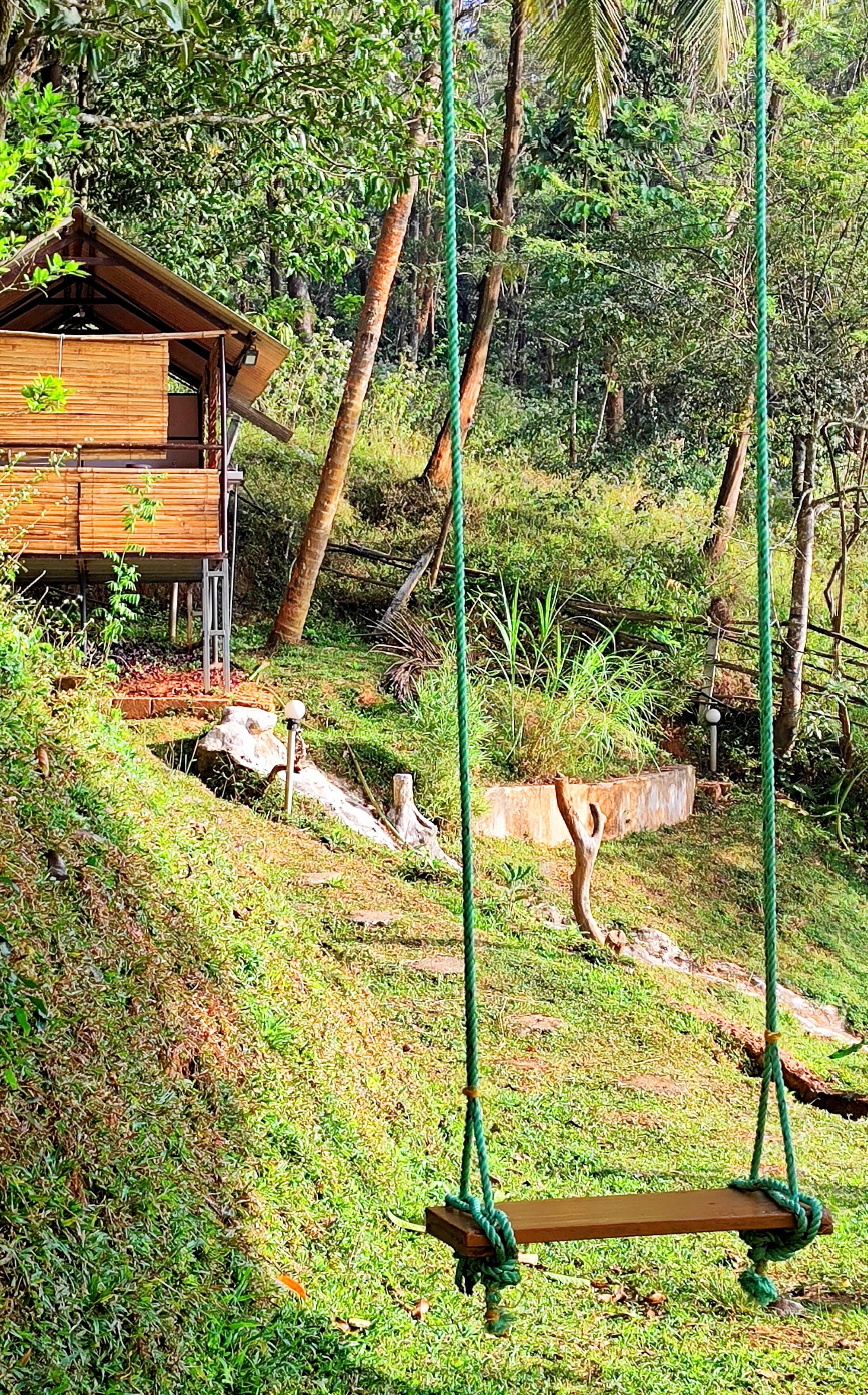 Outdoor Swing in Lush Greenery