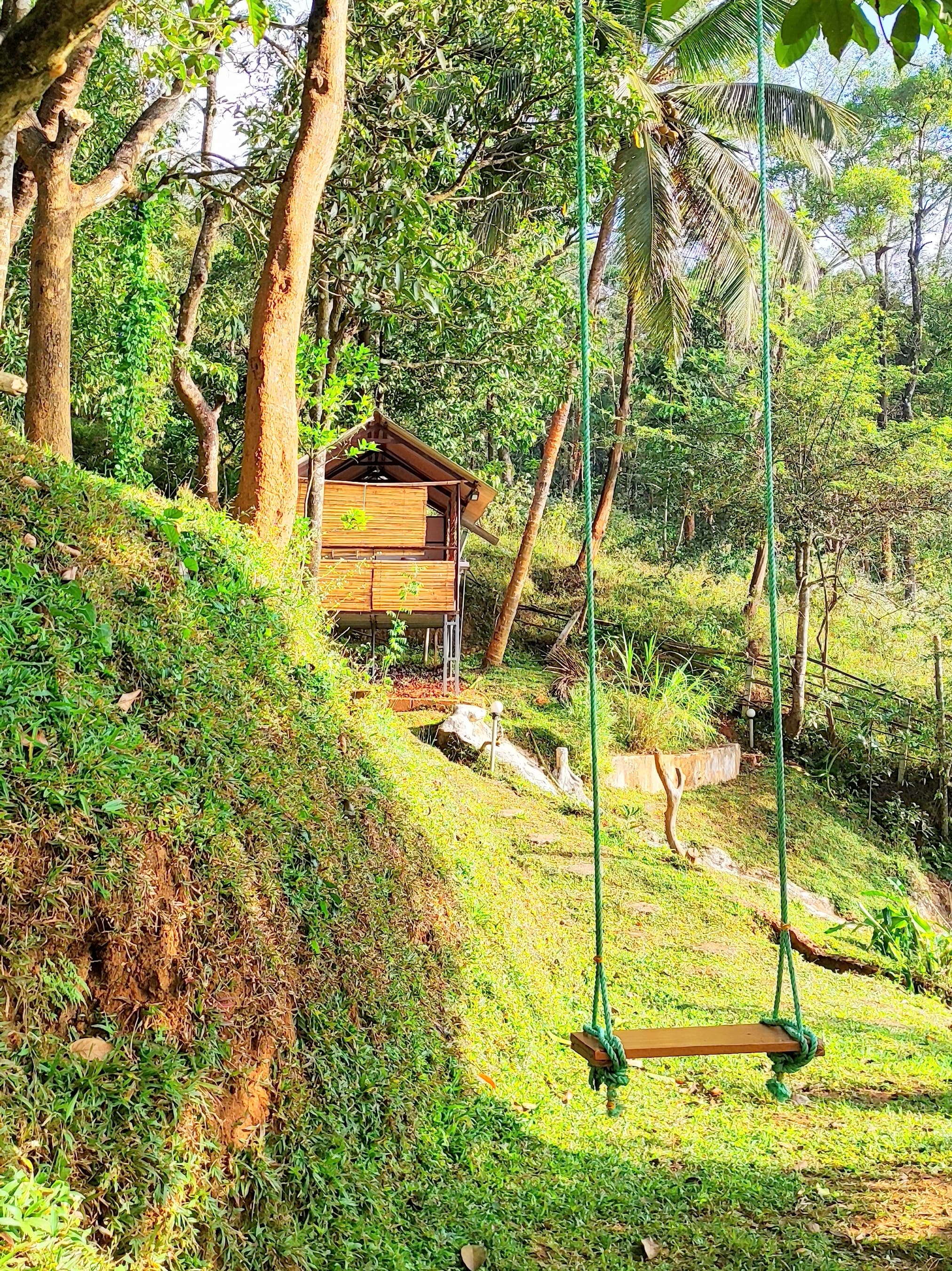 Outdoor Swing with Cabin View